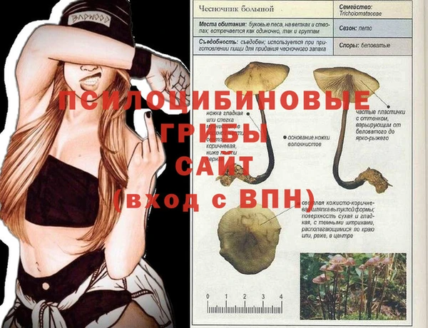 кокс Няндома