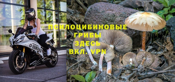 кокс Няндома