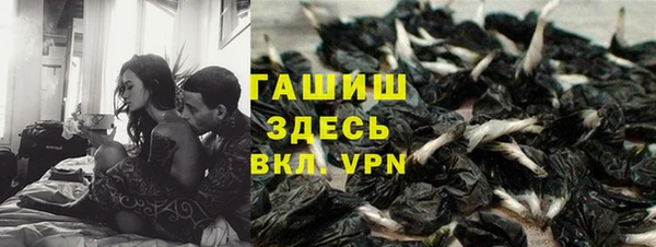 твердый Новокубанск