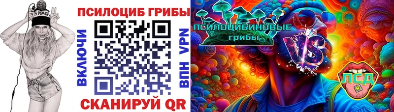 ОМГ ОМГ как войти  Анапа  Псилоцибиновые грибы Psilocybe 