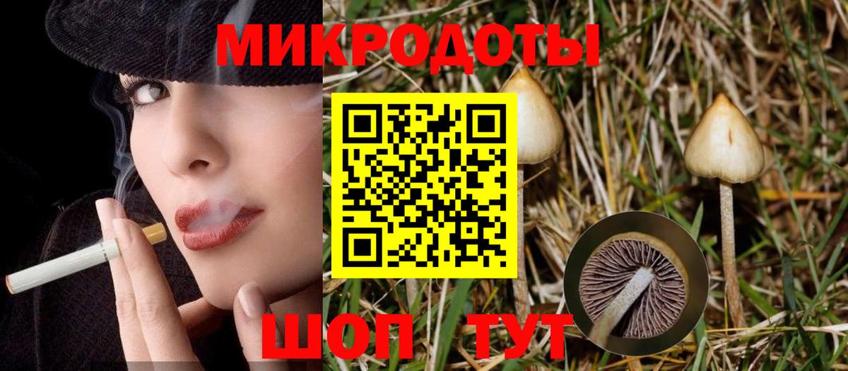 Галлюциногенные грибы MAGIC MUSHROOMS  Вход с VPN  Псилоцибиновые грибы мицелий  Анапа 