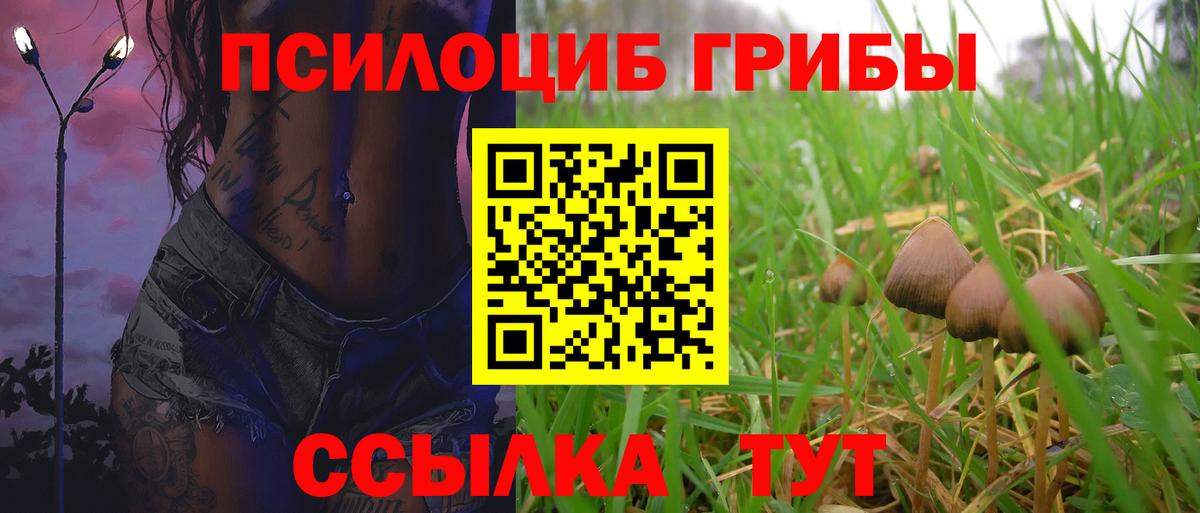 Галлюциногенные грибы ЛСД Анапа