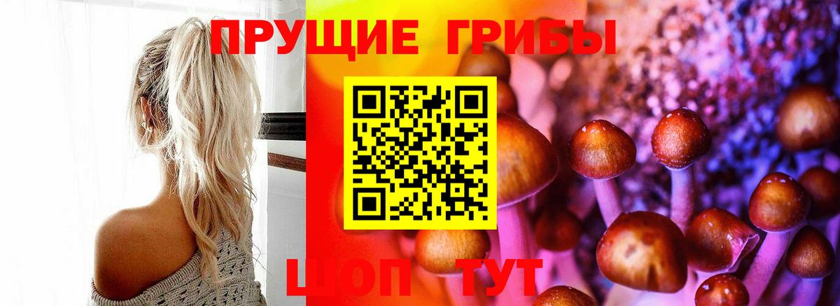 Псилоцибиновые грибы прущие грибы  Анапа 