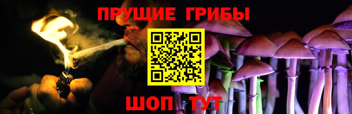 Псилоцибиновые грибы Magic Shrooms Анапа
